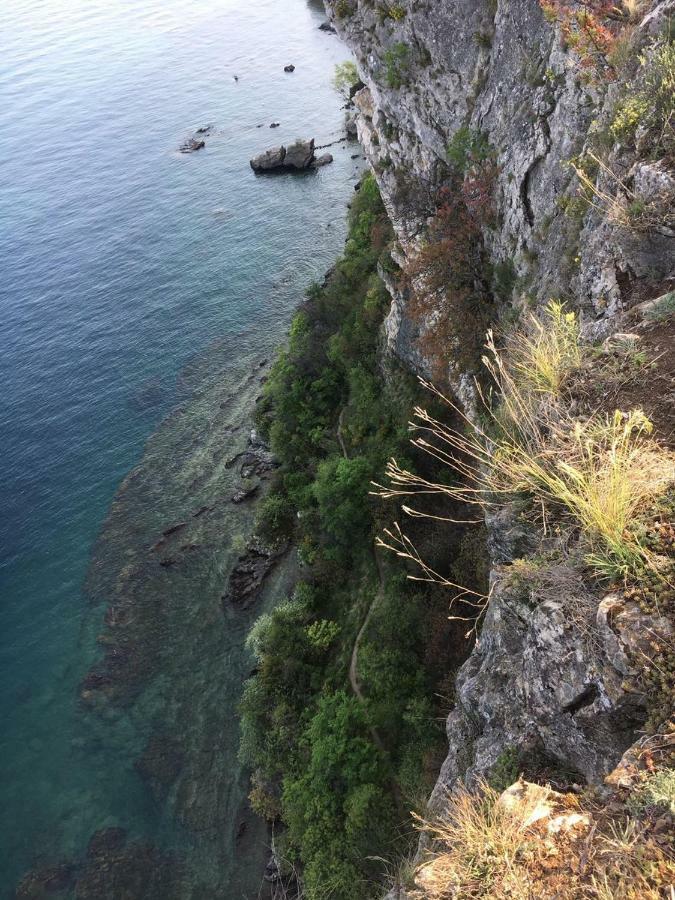 Agriturismo Holle 马内尔巴 外观 照片