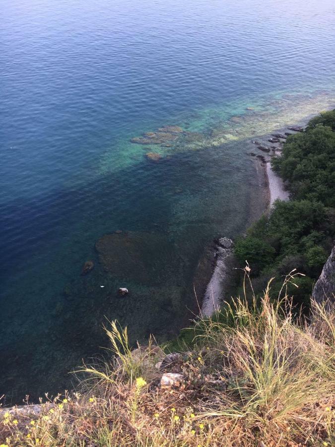 Agriturismo Holle 马内尔巴 外观 照片